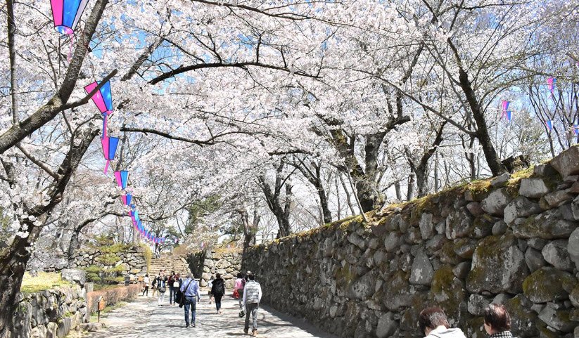 Sakurabora Castle Ruins, Japan
